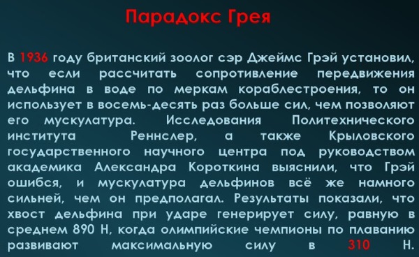 Самые интересные факты о дельфинах: умные, крупные, добрые. Презентация для детей