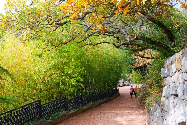 Никитинский ботанический сад Ялта, Крым. Фото, выставки, адрес, режим работы