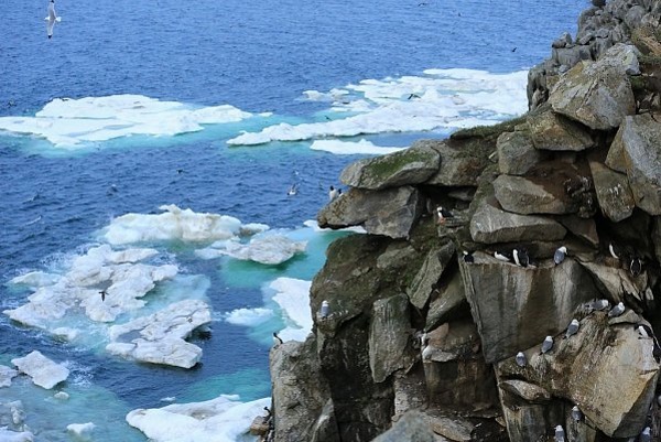 Сколько морей омывает Россию, какие моря и океаны, берега на карте мира