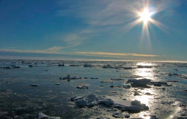 Сколько морей омывает Россию, какие моря и океаны, берега на карте мира