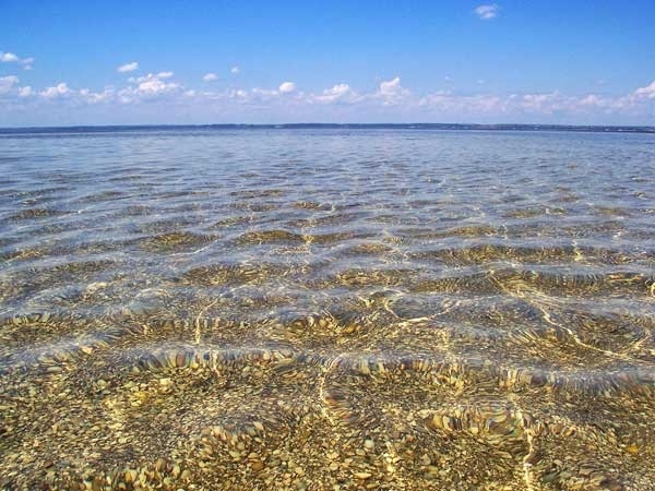 Сколько морей омывает Россию, какие моря и океаны, берега на карте мира