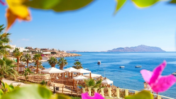 Jaz Mirabel Beach 5* Шарм-Эль-Шейх, Египет. Отзывы, фото, видео, цены