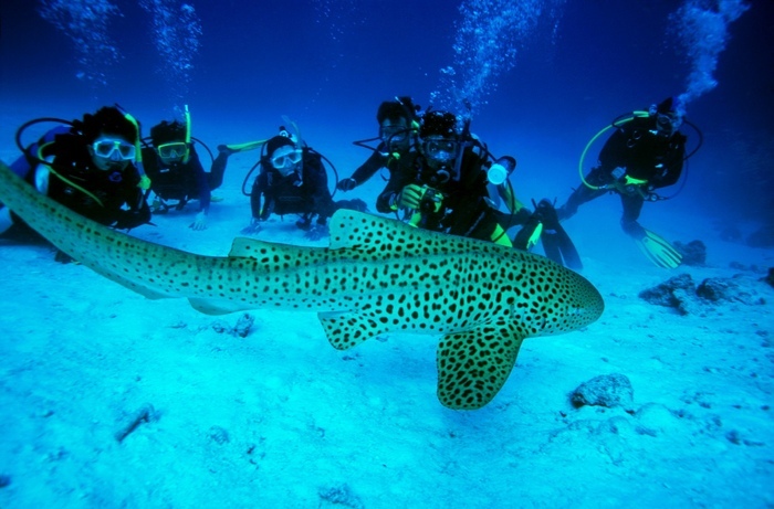 Whala! Boca Chica 3* ex Don Juan Доминикана. Отзывы, фото отеля, цены