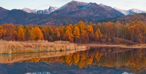 Самые известные заповедники России. Список, фото, где находятся