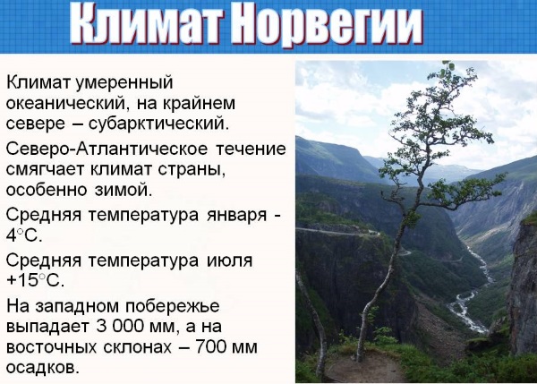 Фьорды Норвегии. Фото, что это такое, круизы, туры по заливам. Цены и отзывы