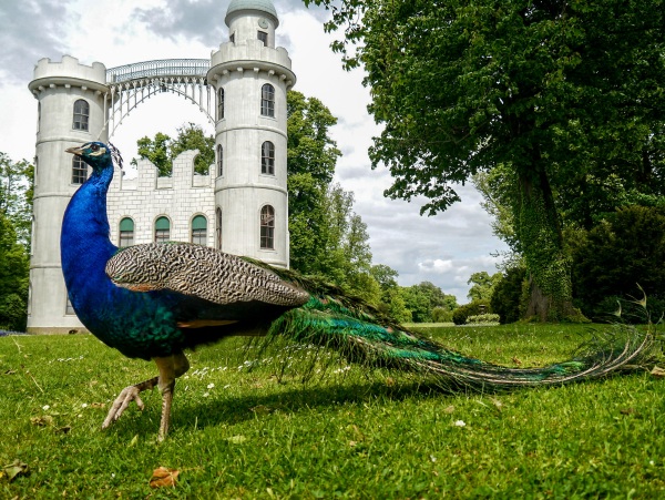 Дикие (нудистские) пляжи в Германии. Фото, названия популярных, где находятся, когда лучше ехать на отдых