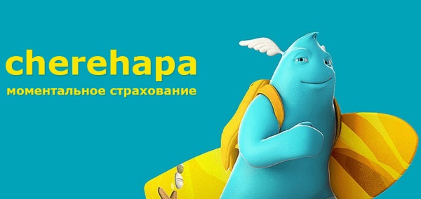 Страховка шенген для туристической, медицинской визы, мультивизы, грин карты. Где оформить, цены