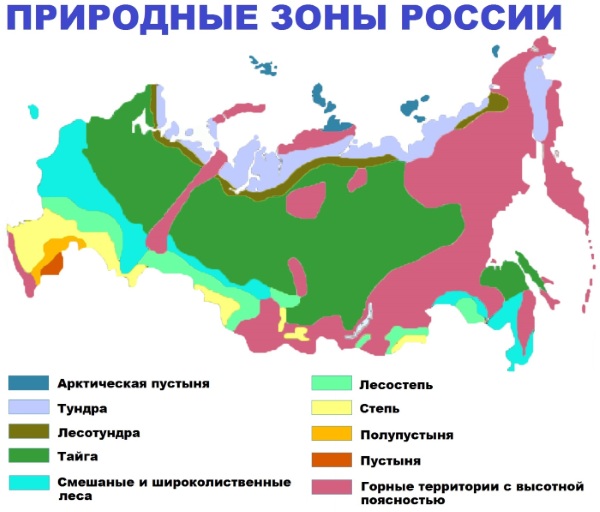 Карта Центральной России с областями, городами, состав, географическое положение, население