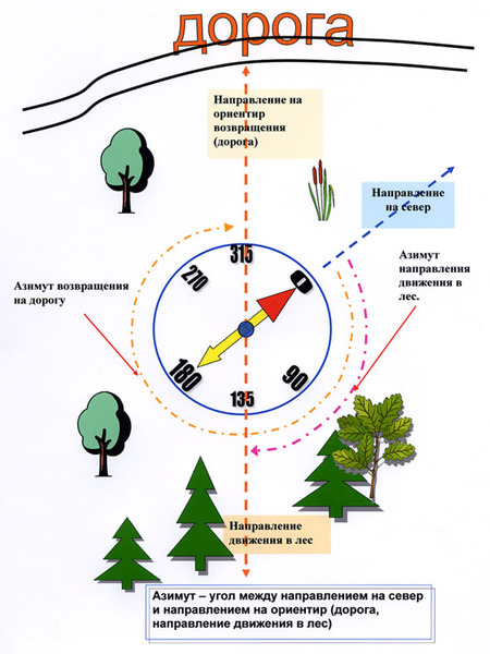 Север-Юг-Запад-Восток. Расположение на карте, как определить направления