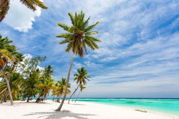Be Live Collection Punta Cana 5* Пунта-Кана, Доминиканская республика. Отзывы, фото, цены