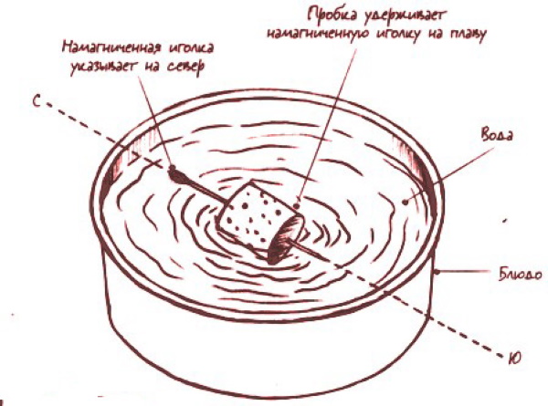 Как определять азимут по компасу, сторонам света, на карте местности с помощью транспортира