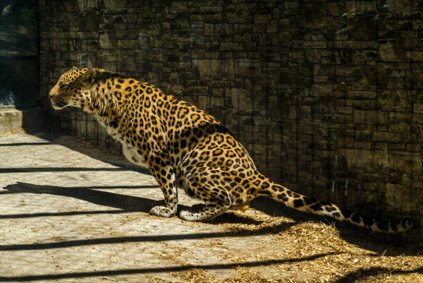 Санаторий «Солнечный», Геленджик. Фото, цены, отзывы