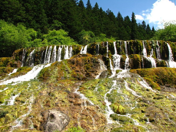 Заповедник Желтый дракон, Китай. Презентация Хуанлун, фото, животные, растения, карта