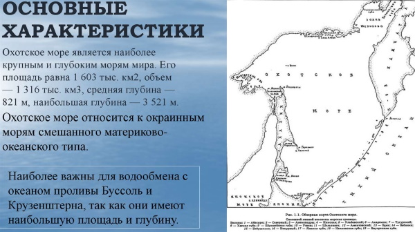 Моря и океаны, омывающие Россию. Список, карта, острова и архипелаги