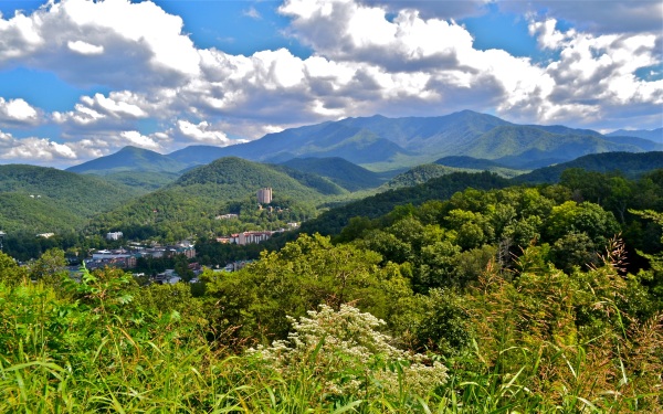 Аппалачи горы (Appalachian) на карте мира. Высота, возраст, складчатость, вершина