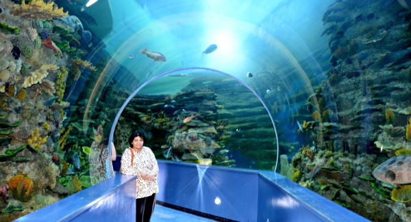 Sharjah Premiere Hotel & Resorts 3* (Премьер отель Резорт 3) ОАЭ/Шарджа. Фото, цены