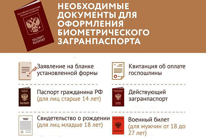 Биометрический паспорт. Что это в РФ, Украине, Беларуси. Цена, как получить, отследить статус