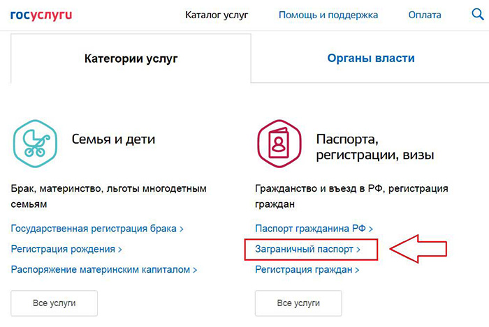 Биометрический паспорт. Что это в РФ, Украине, Беларуси. Цена, как получить, отследить статус