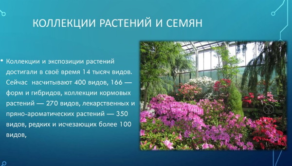 Ботанический сад, Новосибирск: Академгородок, Заельцовский. График, цены, фото, карта