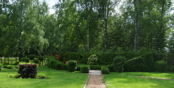Ботанический сад, Новосибирск: Академгородок, Заельцовский. График, цены, фото, карта