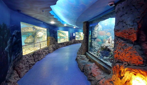Orchestra Horizont Gelendzhik Resort 2* (Оркестра Горизонт) Геленджик. Фото, видео, цены