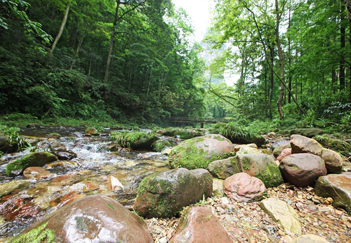 Горы Аватара, Китай. Национальный парк Чжанцзяцзе. Фото, где снимали, как добраться