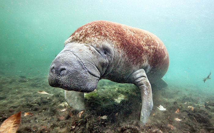 Пляжи Вьетнама с белым песком, голубой водой. Фото, названия