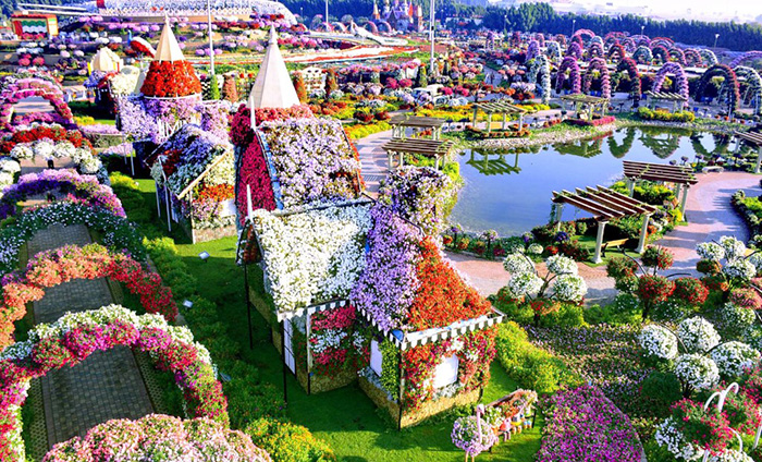 Миракл Гарден в Дубае (Dubai Miracle Garden). График работы, цена, фото