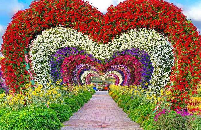 Миракл Гарден в Дубае (Dubai Miracle Garden). График работы, цена, фото