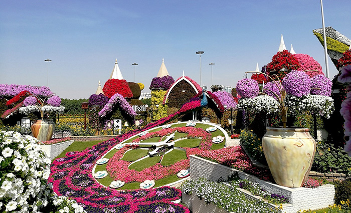 Миракл Гарден в Дубае (Dubai Miracle Garden). График работы, цена, фото