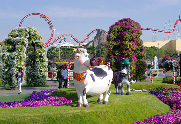 Миракл Гарден в Дубае (Dubai Miracle Garden). График работы, цена, фото