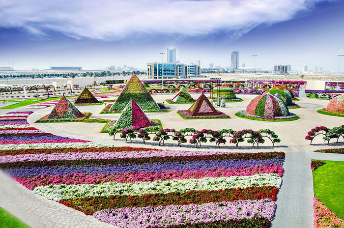 Миракл Гарден в Дубае (Dubai Miracle Garden). График работы, цена, фото