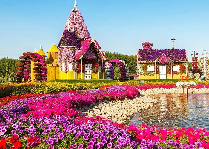 Миракл Гарден в Дубае (Dubai Miracle Garden). График работы, цена, фото