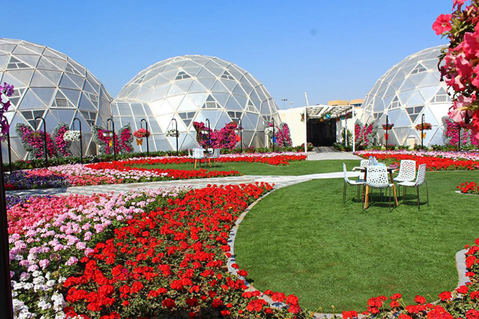 Миракл Гарден в Дубае (Dubai Miracle Garden). График работы, цена, фото