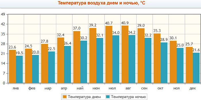 Отели Абу-Даби с собственным пляжем 3-4-5 звезд, Все включено на первой линии, для отдыха с детьми. Рейтинг, фото