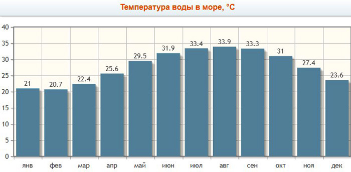 Отели Абу-Даби с собственным пляжем 3-4-5 звезд, Все включено на первой линии, для отдыха с детьми. Рейтинг, фото