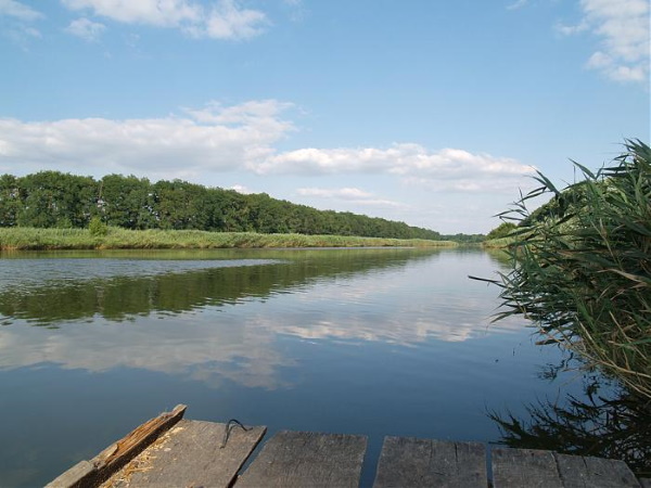 Станица Динская, Краснодарский край. Отзывы переехавших, фото, карта