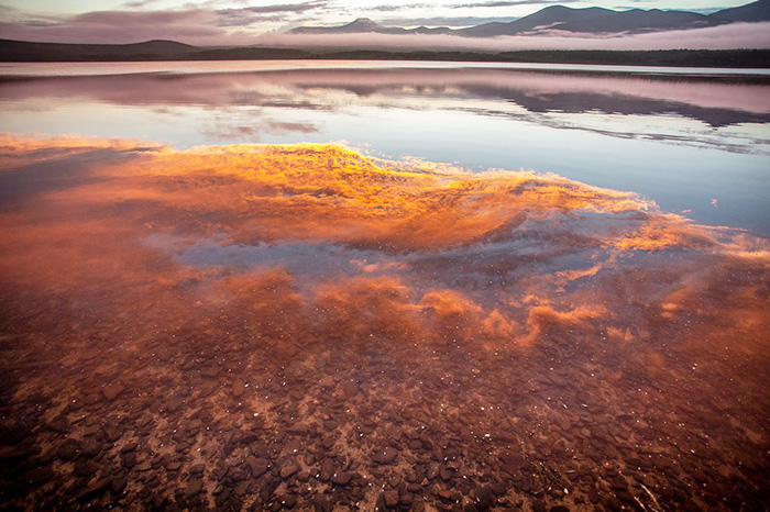 Сихотэ-Алинский заповедник, Дальний Восток. Фото, карта, животные и растения