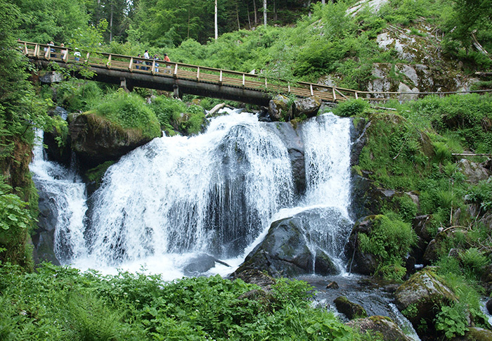 Германия (Федеративная Республика) на карте мира, фото, столица, население