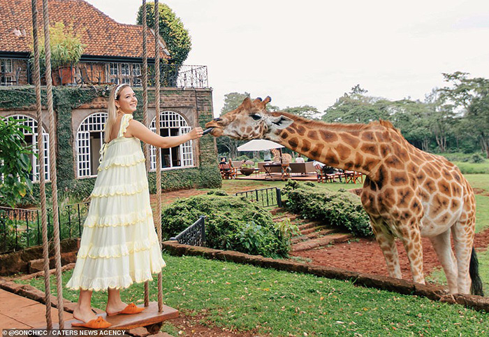 Отель с жирафами в Кении Giraffe Manor 5*. Цена, отзывы