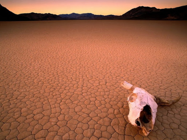 Долина смерти (Death valley) США, Калифорния. Фото, факты
