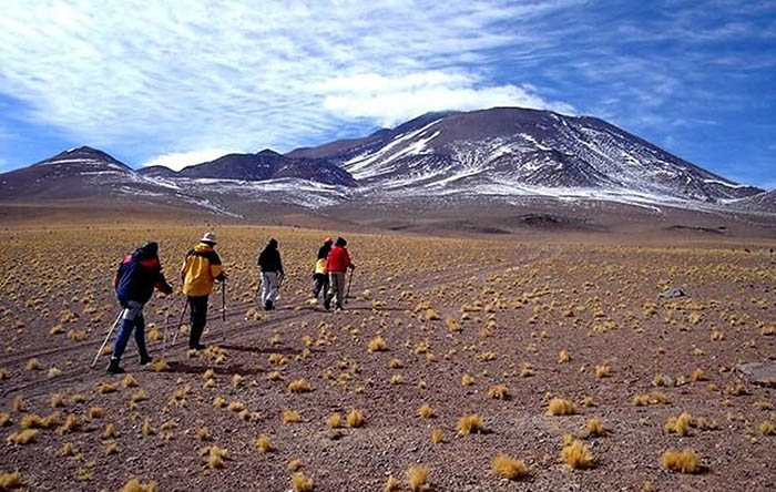 Льюльяйльяко вулкан. Где находится на карте мира, высота, координаты