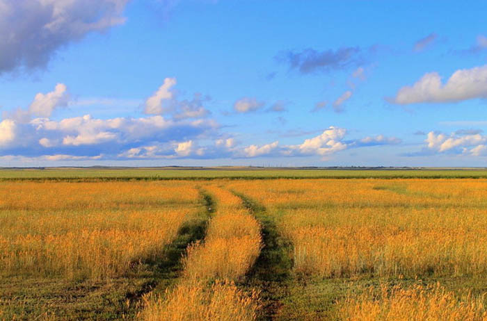 Красивые места в Казахстане. Фото природа, для отдыха