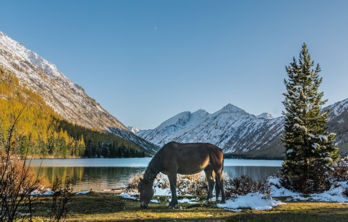 Мультинские озера, Алтай. Фото, карта, как добраться