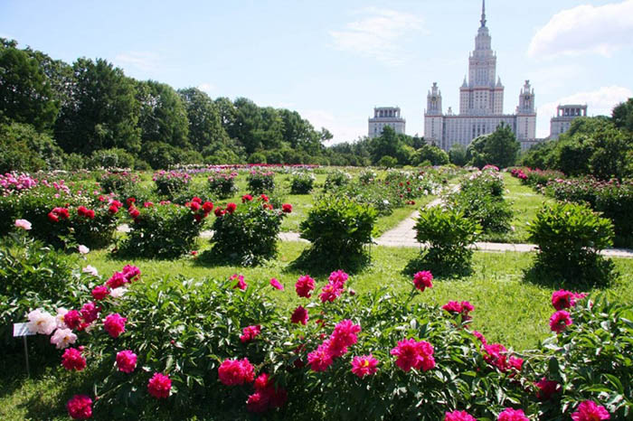 Воробьевы горы, Москва. Фото, что посмотреть