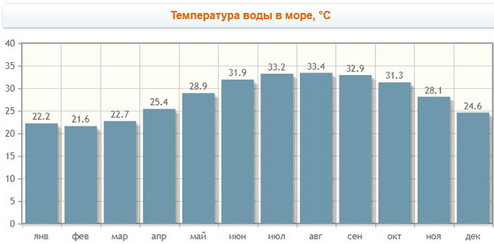 Отели г.Дубай с собственным пляжем 5 звезд Все включено
