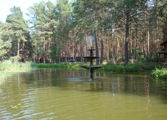 Сурское водохранилище в Пензе. Базы отдыха, фото