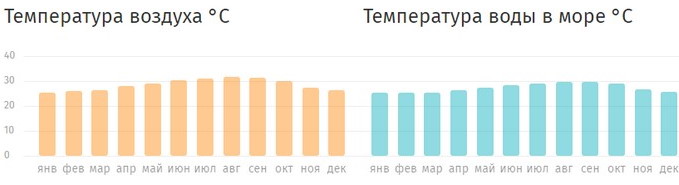 кайо коко что это. kayo koko 2. кайо коко что это фото. кайо коко что это-kayo koko 2. картинка кайо коко что это. картинка kayo koko 2.