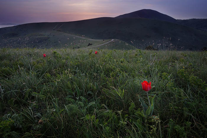 Пшадские водопады, Геленджик. Фото, как добраться самостоятельно