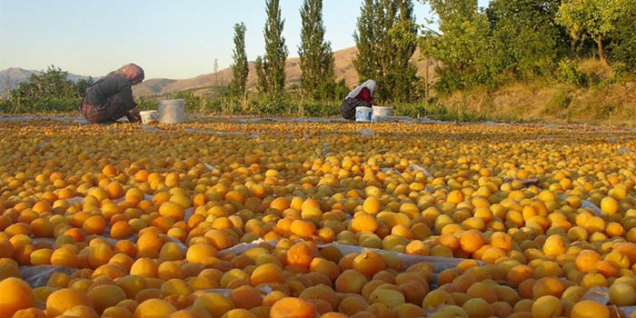 Малатья (Malatya), Турция. Достопримечательности города, фото